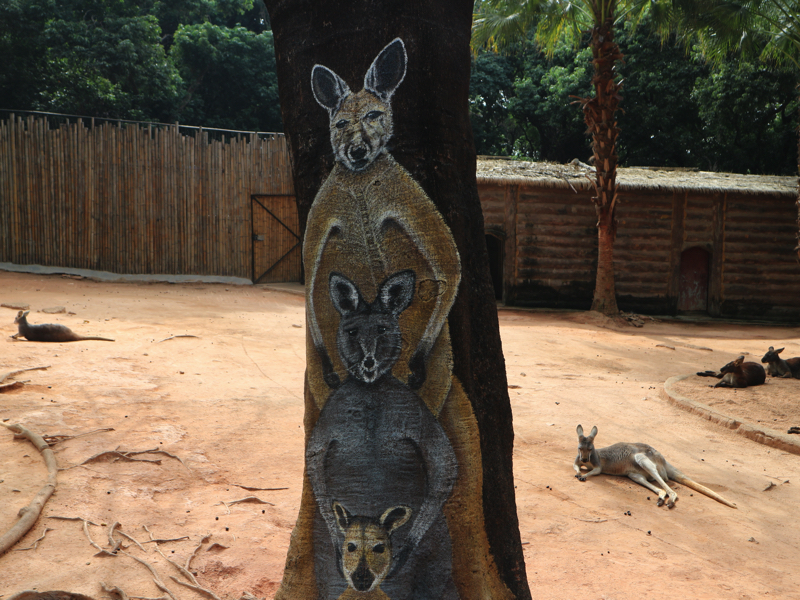 深セン野生動物園(カンガルー展示のアート)